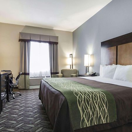 Comfort Inn & Suites I-10 Airport El Paso Buitenkant foto